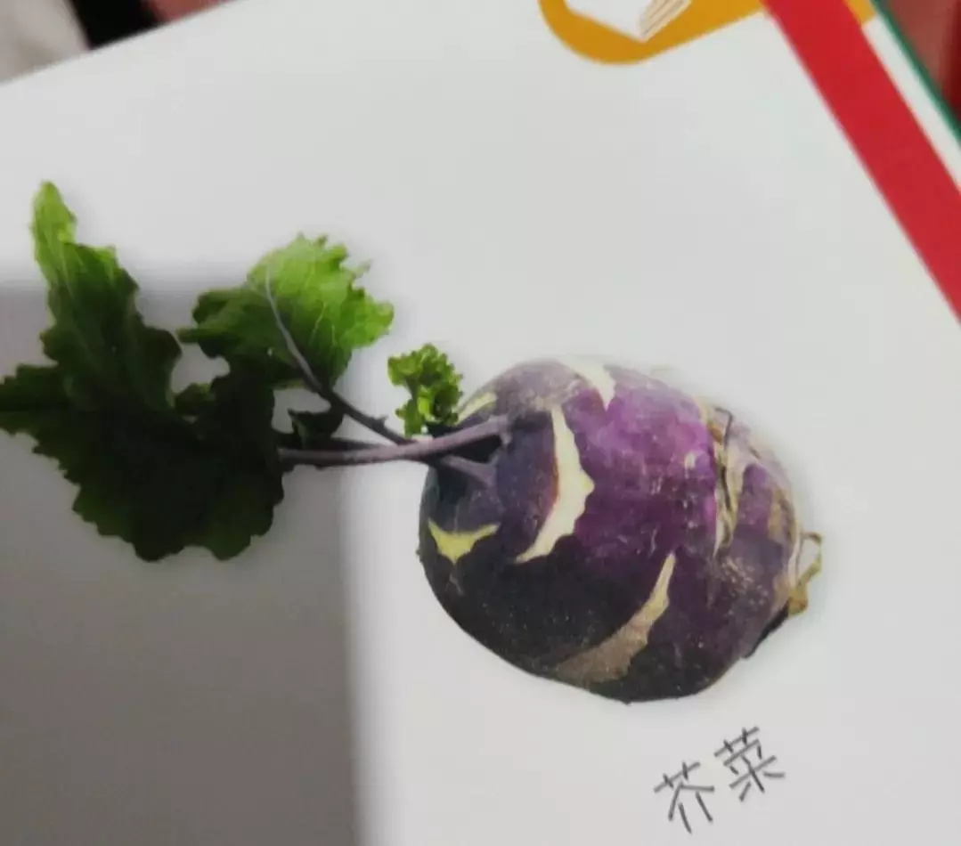 芥菜读音gai还是jie(1)