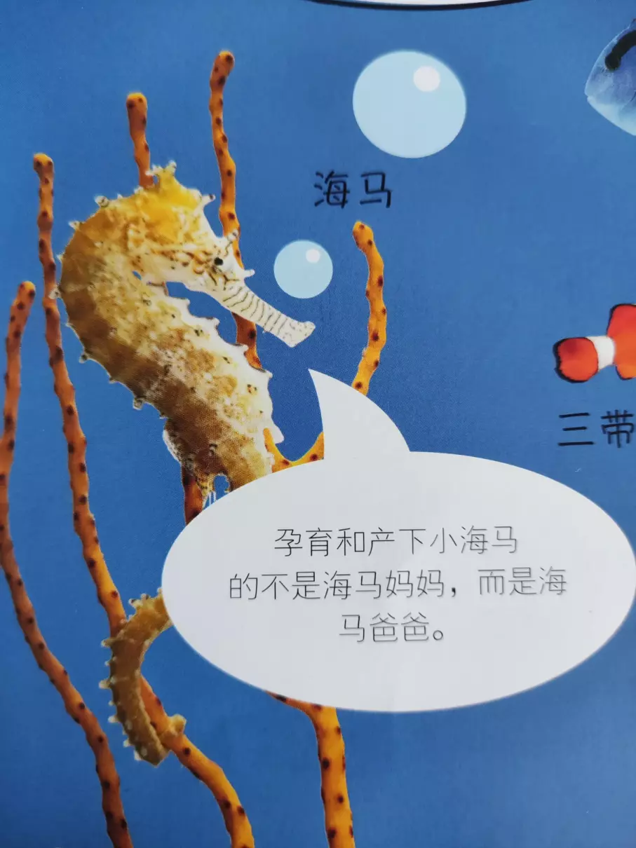 芥菜读音gai还是jie(2)