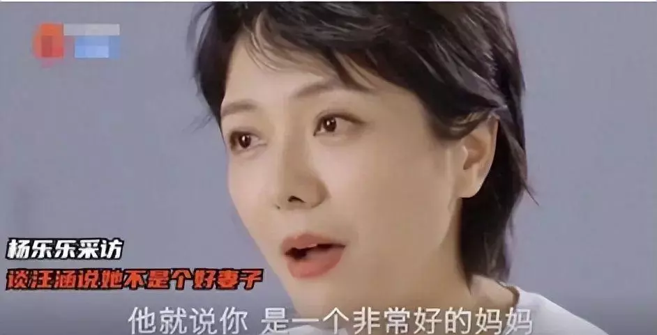 汪涵老婆杨乐乐出什么事了(2)