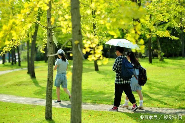 浙师大算211还是985(6)