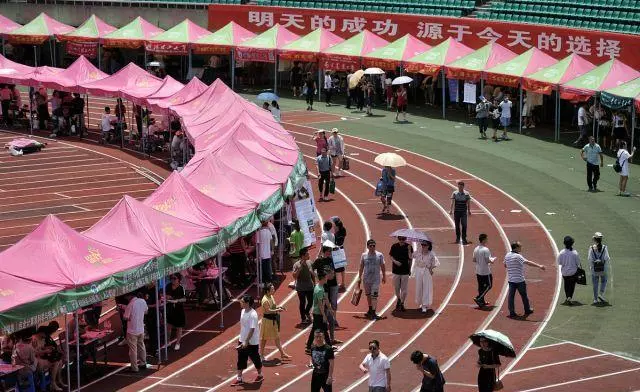 浙师大算211还是985(7)