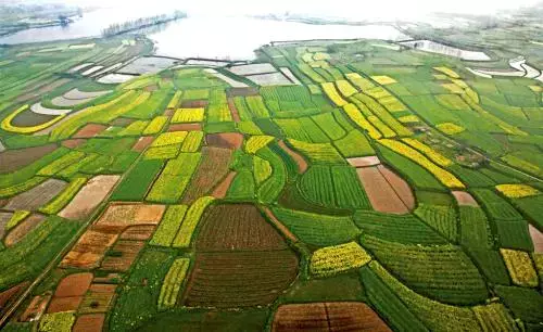 中国的四大高原四大盆地三大平原是什么(5)