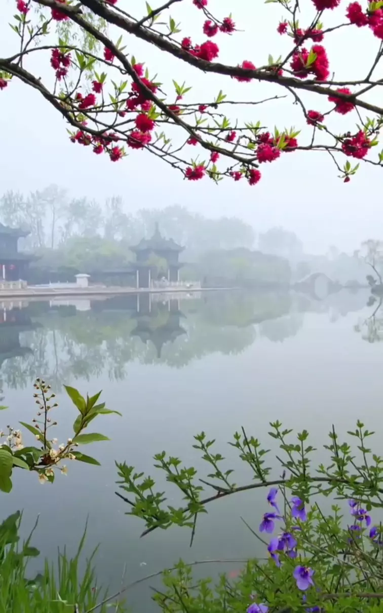 绿色怎么说显得高雅(2)