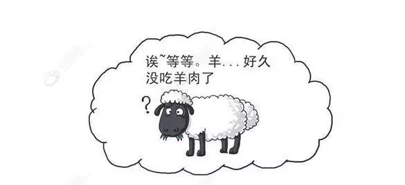 新鲜羊肉怎么保存不影响口感(9)