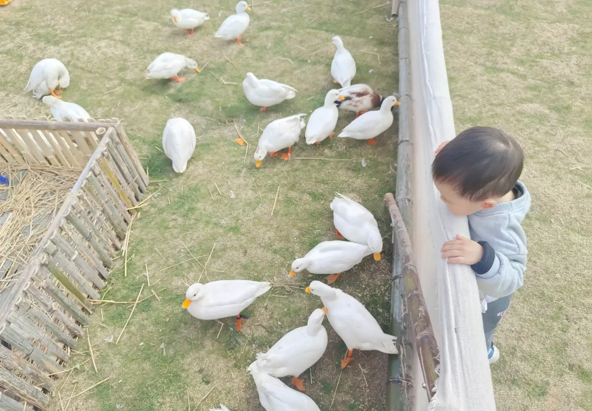 瓯窑小镇有什么风景吗(10)