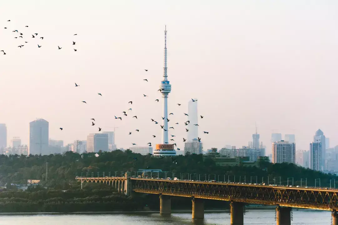 武汉一词最早出现于什么时候(14)
