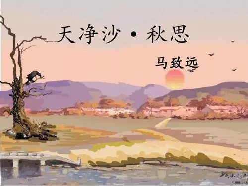 天净沙秋思表达了作者怎样的思想感情(1)