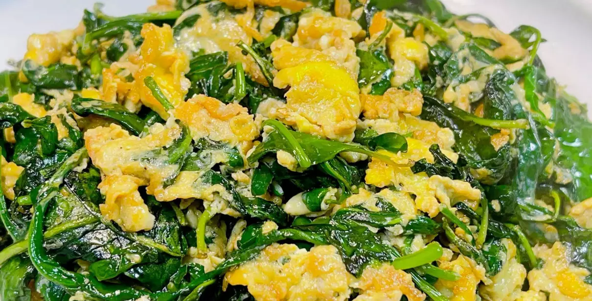 枸杞叶的功效与作用及食用方法(1)