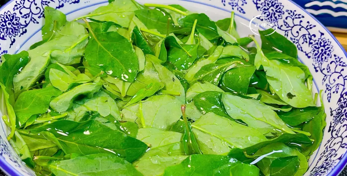 枸杞叶的功效与作用及食用方法(3)
