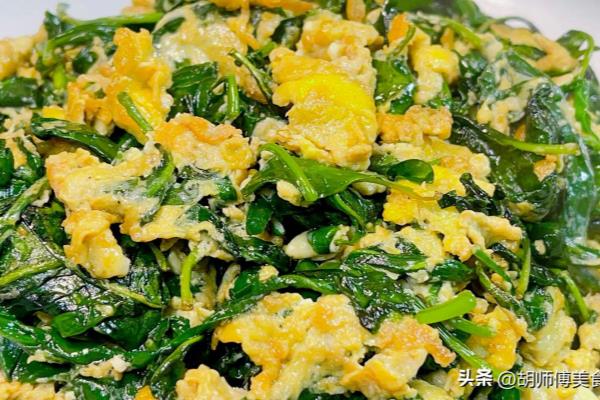 枸杞叶的功效与作用及食用方法.