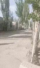 足球努尔买买提能去国家队吗(1)
