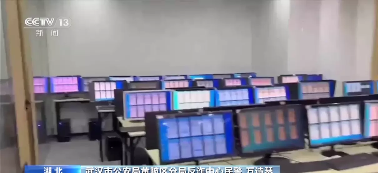 培养主播的公司叫什么公司(20)
