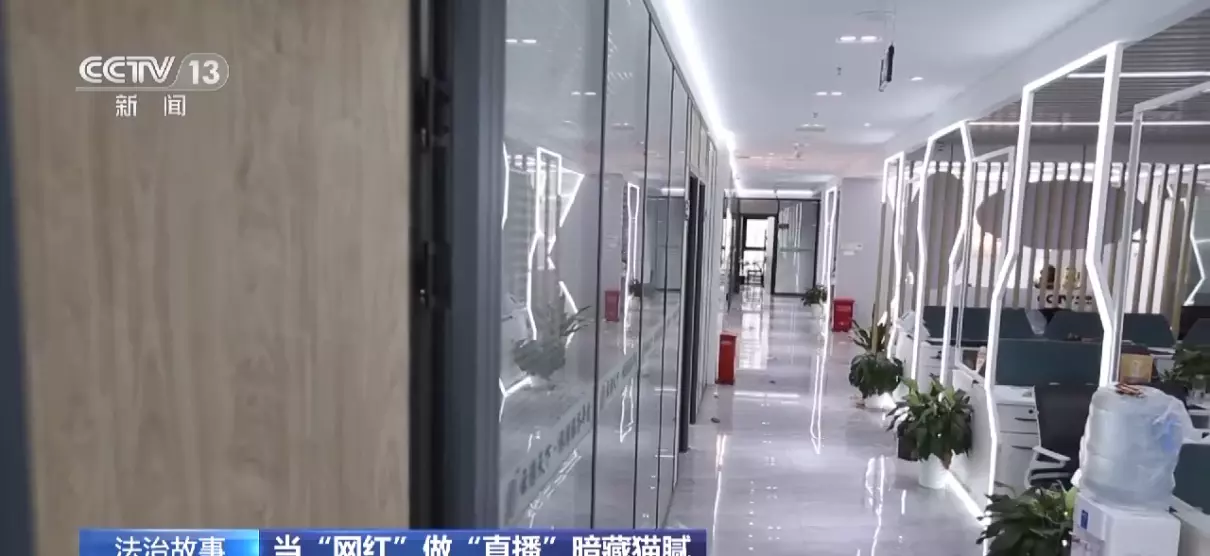 培养主播的公司叫什么公司(26)