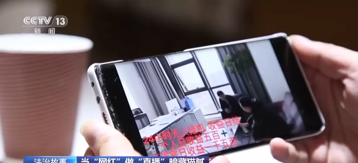 培养主播的公司叫什么公司(5)