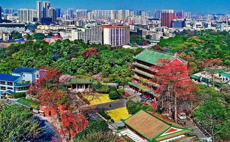 广州市有什么好玩的旅游景点(17)