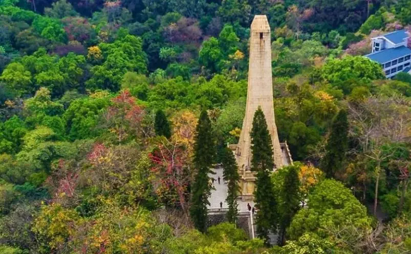广州市有什么好玩的旅游景点(19)