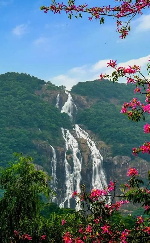 广州市有什么好玩的旅游景点(33)