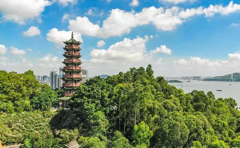 广州市有什么好玩的旅游景点(44)