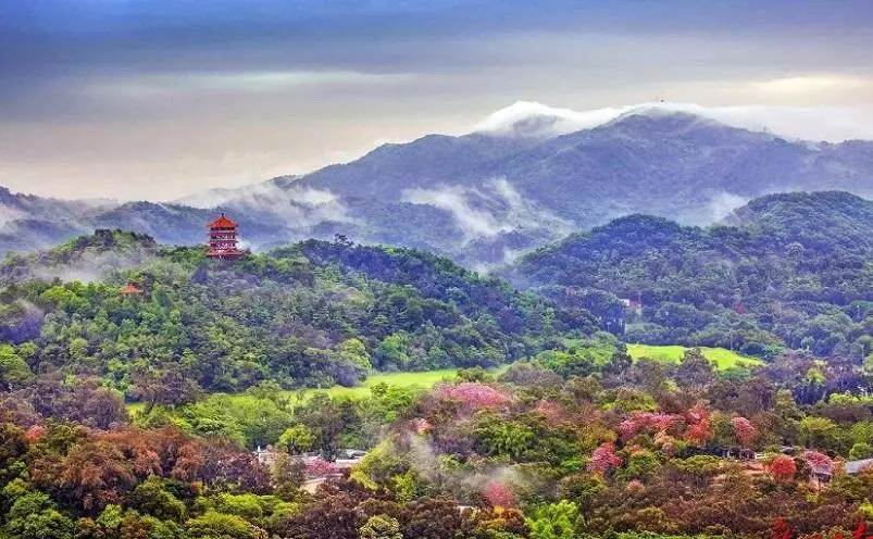 广州市有什么好玩的旅游景点(6)