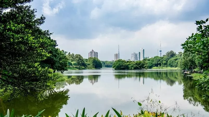 广州市有什么好玩的旅游景点(9)