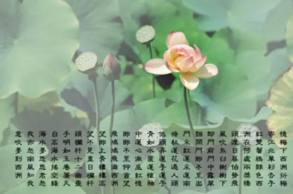 西洲曲表达了什么情感(4)
