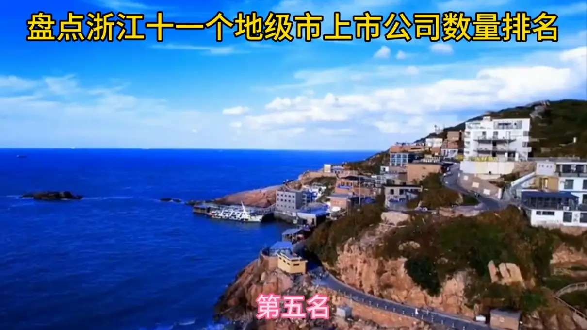 温州上市公司市值排名(2)