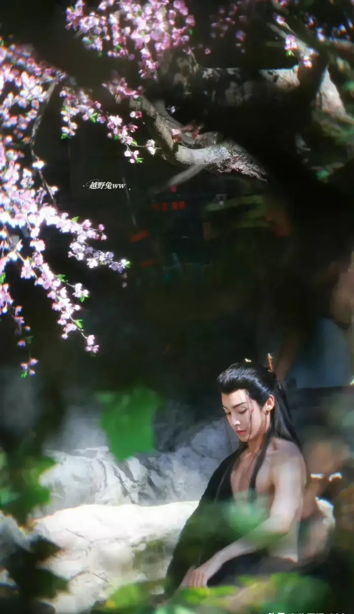 娱乐热点排行榜是什么(12)