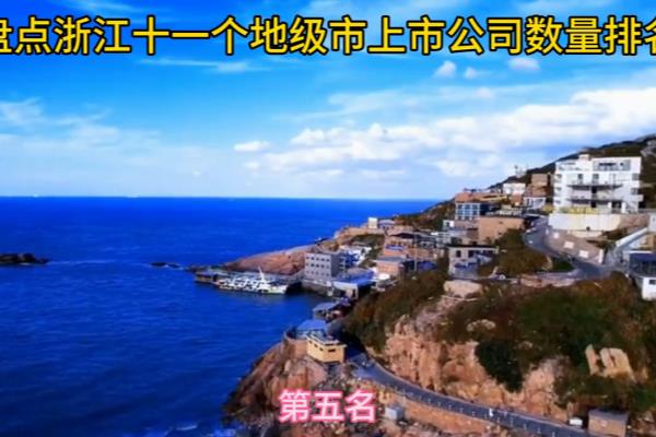 温州上市公司市值排名.