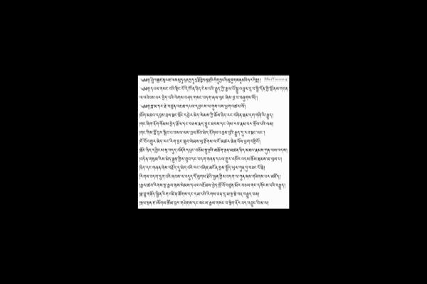 中国有多少个少数民族使用本民族文字.