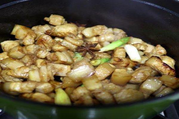 春笋炖肉的做法大全窍门.