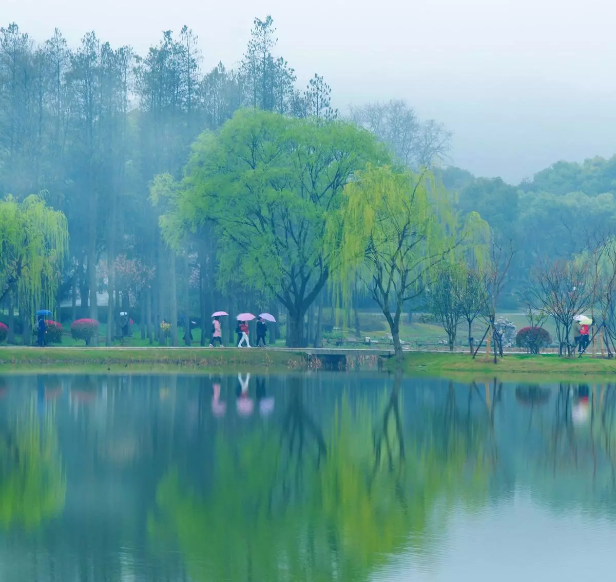 又是一年春好处绝胜烟柳满皇都是什么意思(3)
