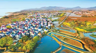 花山村在什么地方(7)