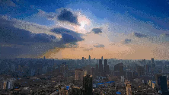 魏莹与家人失去联系的原因(7)