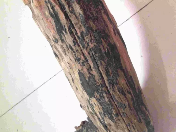 天然雷击木手串价格(1)
