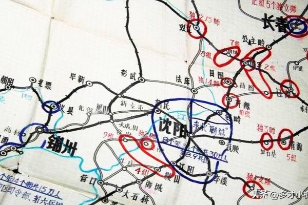 廖耀湘的兵团是怎样被俘的.