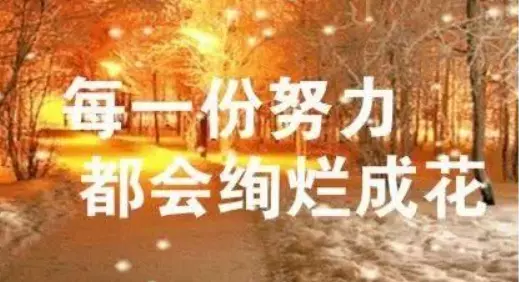 不枉来世上走一遭什么意思(2)