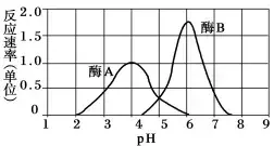 酶的基本组成单位是什么或什么(3)