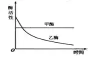酶的基本组成单位是什么或什么(4)