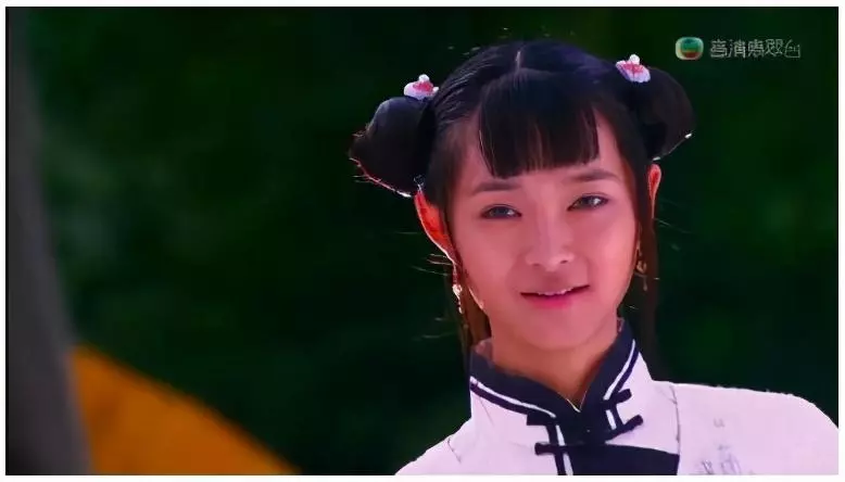 台湾李小飞版鹿鼎记演员表大全(19)