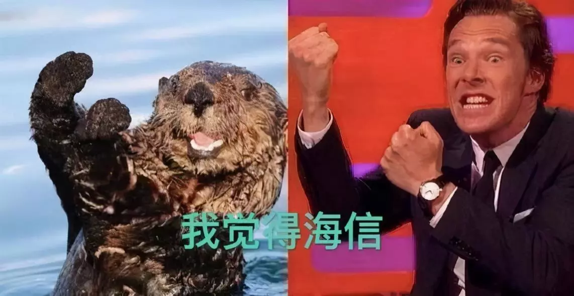 国产欧美自拍(46)