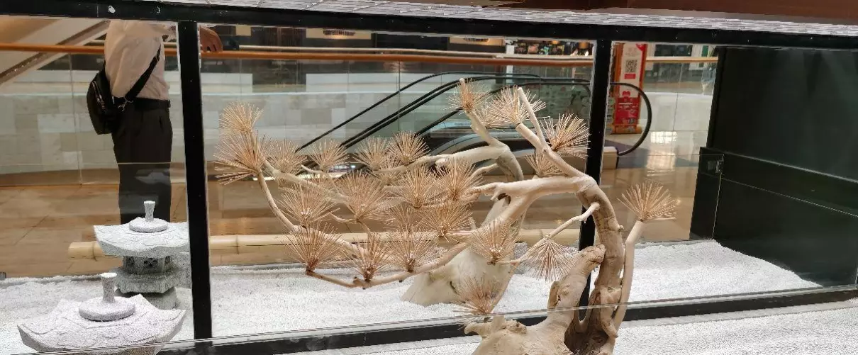 德基美术馆在一期还是二期(11)