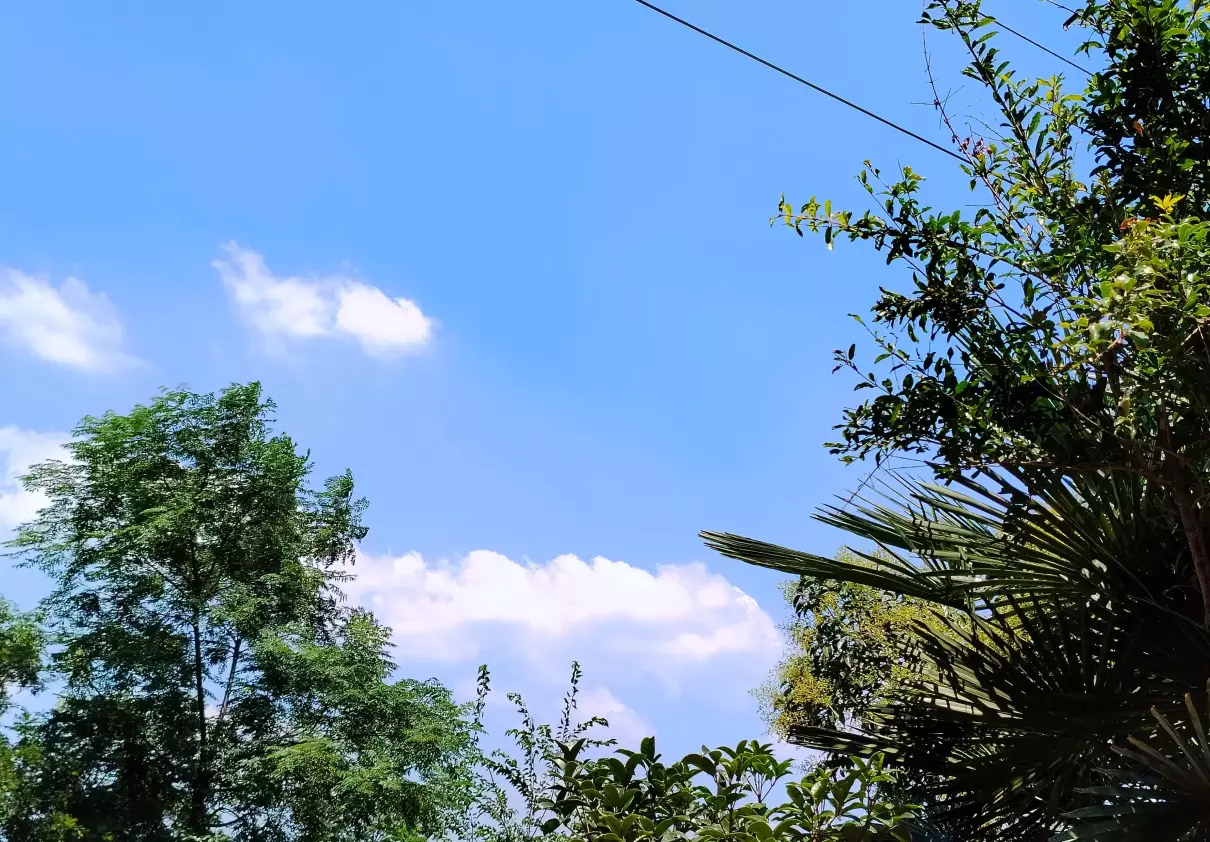即使生命如尘仍愿岁月如歌的意思(1)