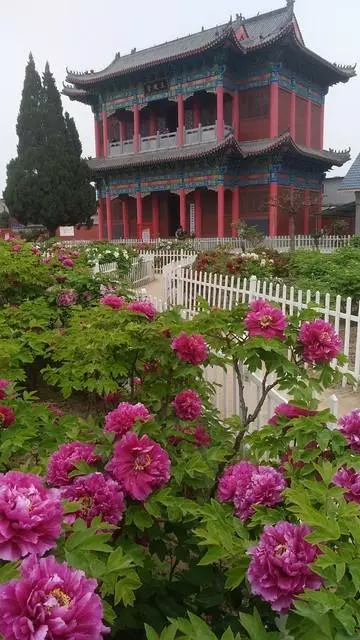 菏泽有啥好玩的地方吗一日游(1)
