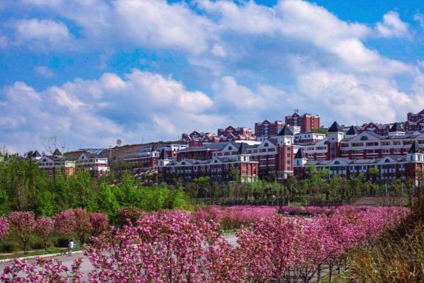 盘州市第二中学新校区占地面积.