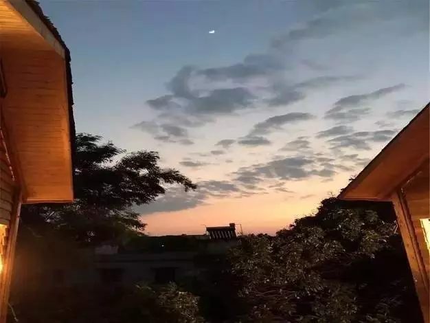 竹林木屋文案怎么写(13)