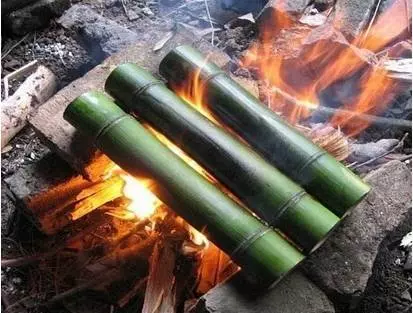 竹林木屋文案怎么写(14)
