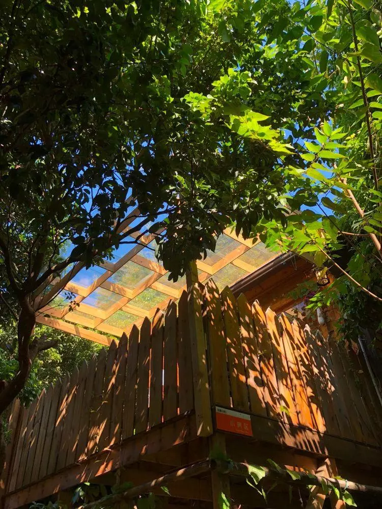 竹林木屋文案怎么写(47)