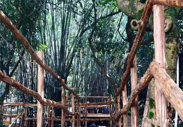 竹林木屋文案怎么写(4)