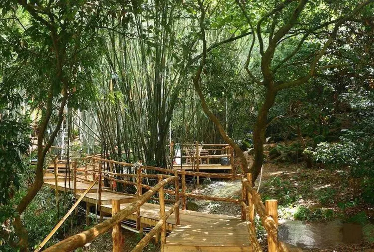 竹林木屋文案怎么写(61)