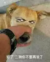来个网址你懂的(2)
